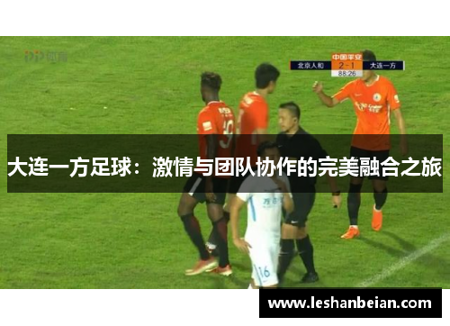大连一方足球：激情与团队协作的完美融合之旅